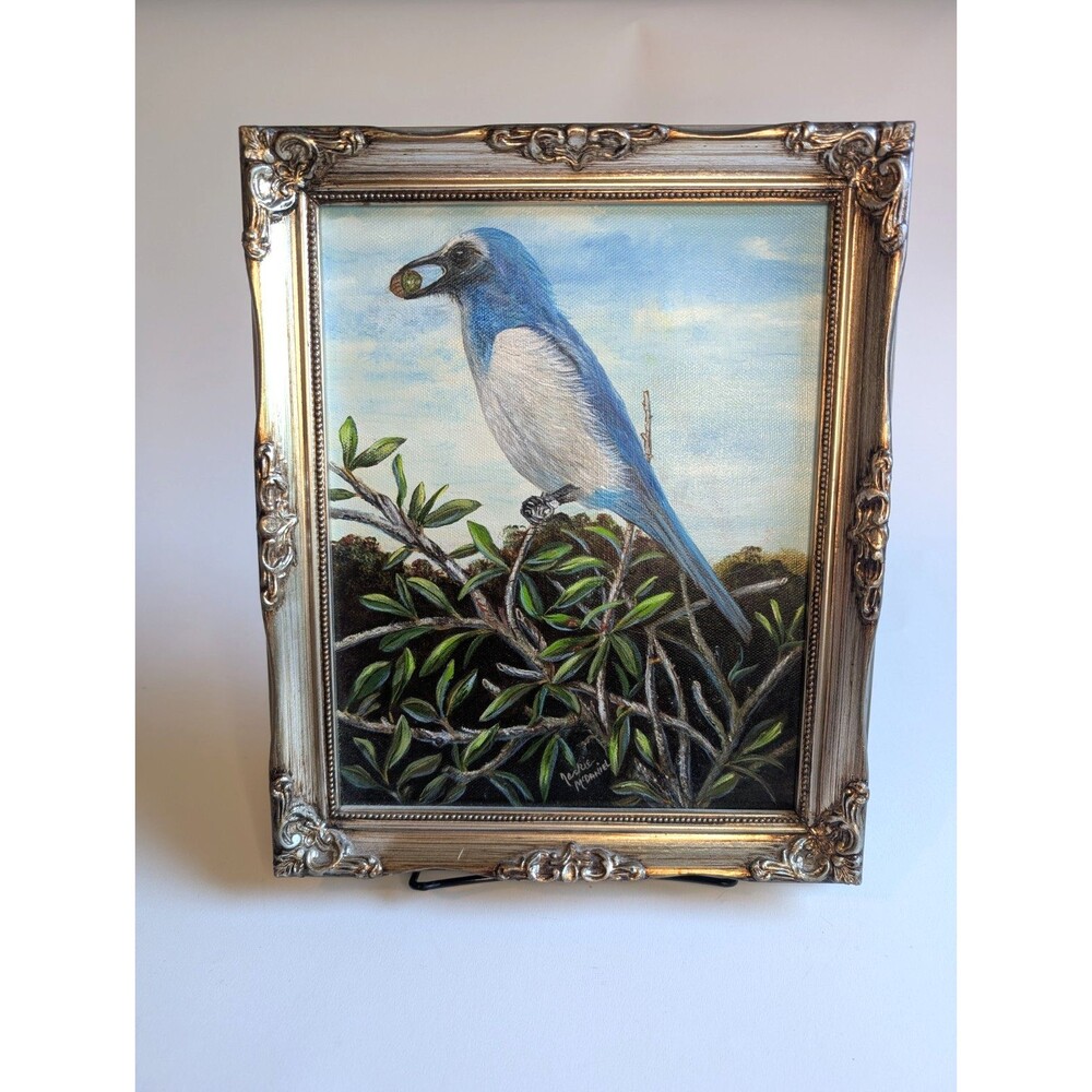 Original Blue Jay Bird Small Oil Painting Signed Framed Bird Art
